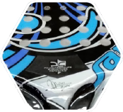 PSP_img01_large.png