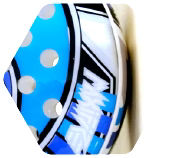 PSP_img01_large.png