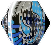 PSP_img01_large.png