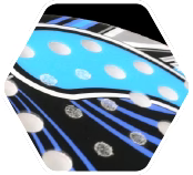PSP_img01_large.png